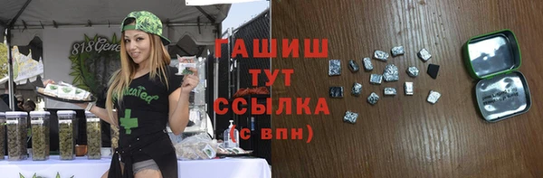 гашик Алексеевка