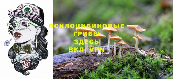 трава Абинск