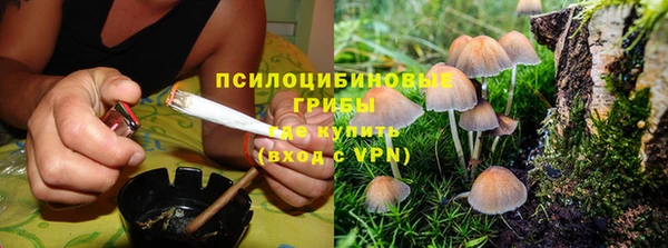 трава Абинск