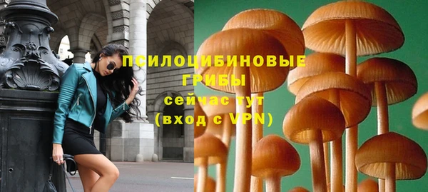 трава Абинск