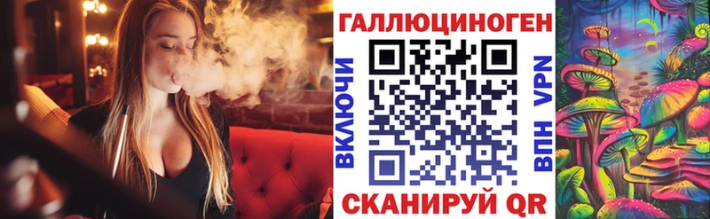 что такое   Хадыженск  Псилоцибиновые грибы Psilocybe 