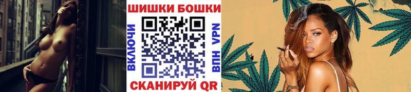 Каннабис OG Kush  Хадыженск 